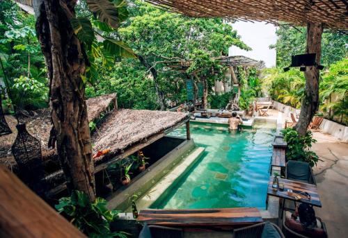 Jungle Sanctuary Wellness Retreat w Pool Bar Spa