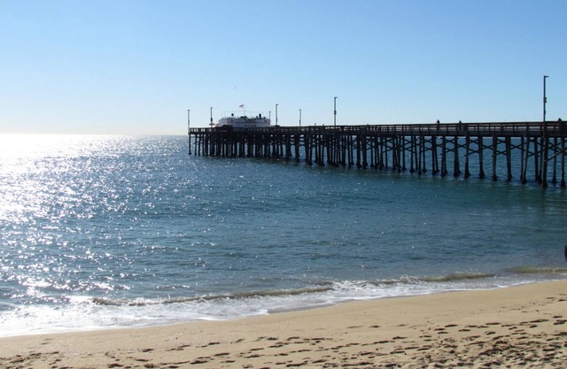 Peach Blossom Across From the Beach