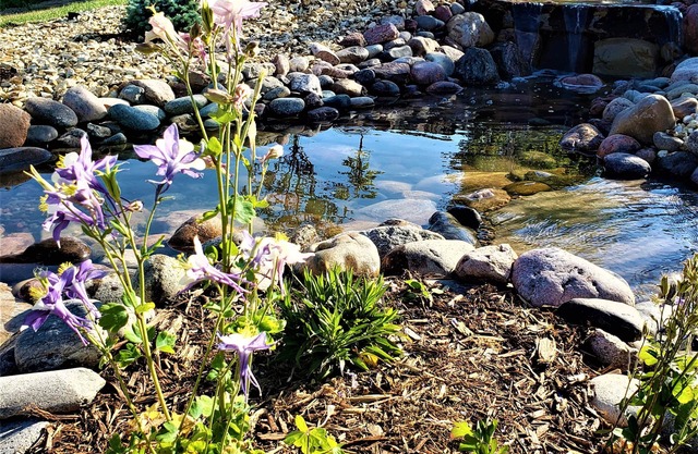 Peak Valley Manor, a Modern Farmhouse