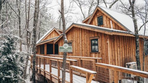 The Green Ash in Treehouse Grove at Norton Creek
