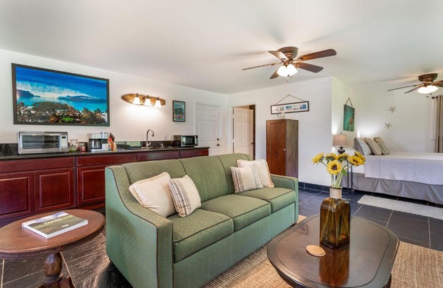 The Green Pineapple Studio apts