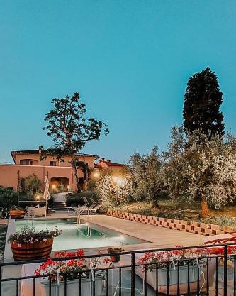 The Olive Grove in Tuscany