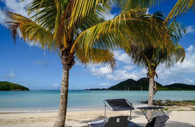 Wild Lotus Villa - Waterfront on Jolly Harbour