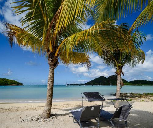 Wild Lotus Villa - Waterfront on Jolly Harbour